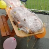 Obfrauenübergabe in der Dorfgemeinschaft - IMG20200817185604.jpg